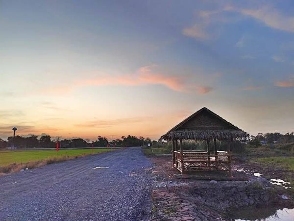 ทำเลดีสุดโซนลำลูกกาติดลาดยางตอบโจทย์ทุกกิจการใกล้เรนวูดปาร์ค คลอง 12 ลำลูกกา ตะวันออก T.062-1574449 (รูปที่ 16)