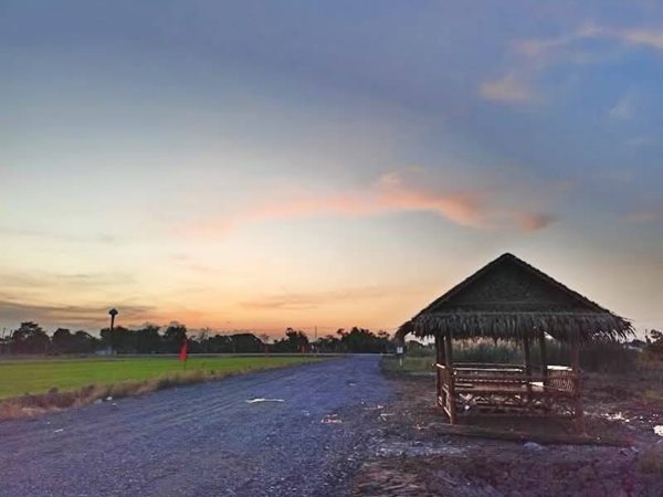 ทำเลดีสุดโซนลำลูกกาติดลาดยางตอบโจทย์ทุกกิจการใกล้เรนวูดปาร์ค คลอง 12 ลำลูกกา ตะวันออก T.062-1574449 (รูปที่ 12)