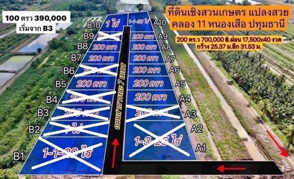 ใกล้ปีใหม่ยิ่งใกล้หมดที่ดินผ่อนได้ไร้ดอกที่คลอง11หนองเสือปทุมธานี. T.062-1574449 (รูปที่ 14)