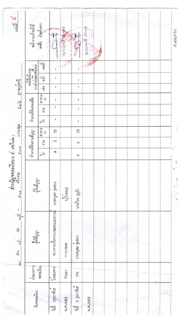 ขายที่ดิน พื้นที่ 2-2-75 ไร่ ต.ตลิ่งงาม อ.เกาะสมุย จ.สุราษฎร์ธานี (เจ้าของขายเอง) ทำเลดี บรรยากาศดี โทร. 084-732-2086 (รูปที่ 9)
