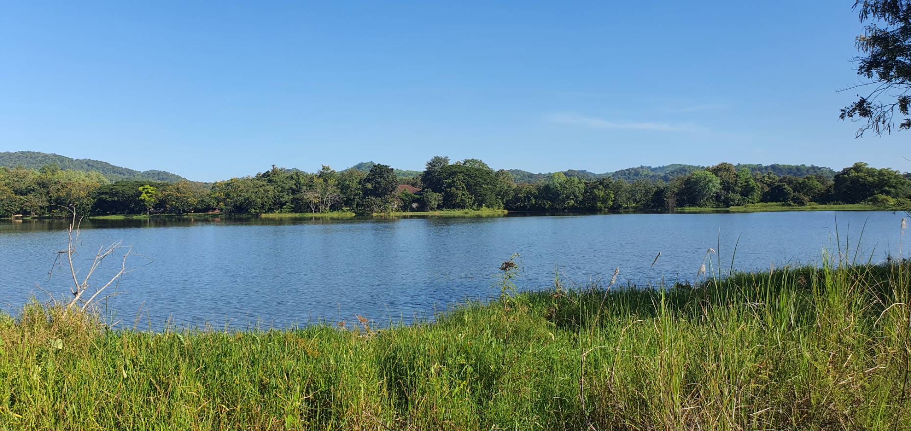 ที่ดินเนิน วิวทะเลสาบ อ.เวียงชัย (นํ้าไม่ท่วม) (รูปที่ 4)