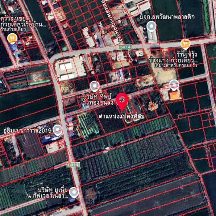 ขายที่ดินพร้อมบ้านชั้นเดียว ขนาด1ไร่ ย่านบางใหญ่ (รูปที่ 6)