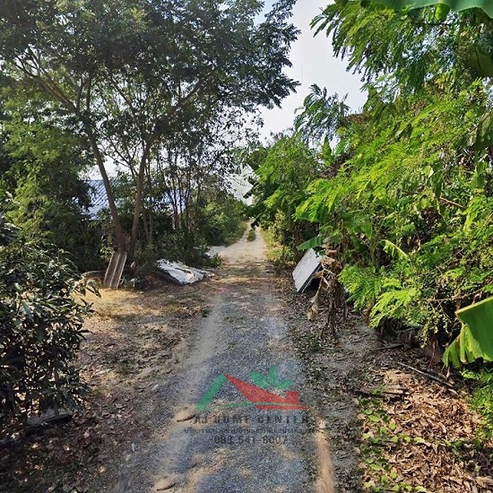 ขายที่ดินพร้อมบ้านชั้นเดียว ขนาด1ไร่ ย่านบางใหญ่ (รูปที่ 3)