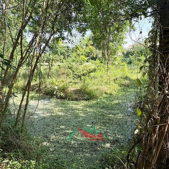 ขายที่ดินพร้อมบ้านชั้นเดียว ขนาด1ไร่ ย่านบางใหญ่ (รูปที่ 4)