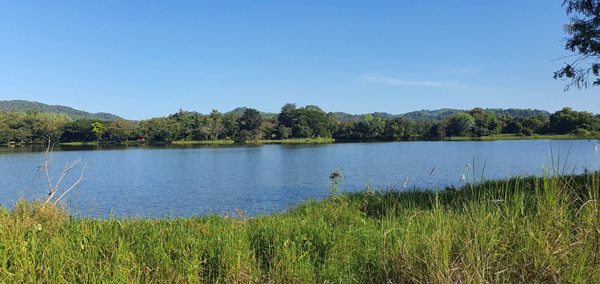 ขายที่เนิน วิวทะเลสาบ อ.เวียงชัย จ.เชียงราย (นํ้าไม่ท่วม) ใกล้เมืองเดินทางสะดวก โทร 0895528426 (รูปที่ 6)