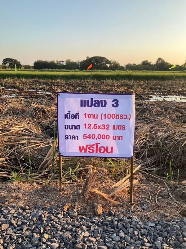 ที่ดินแปลงน้อย 100วา ราคาถูกของขวัญเพื่อครอบครัว T.062-1574449 (รูปที่ 8)