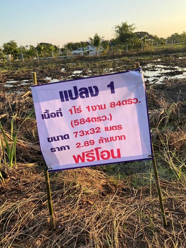 ที่ดินแปลงน้อย 100วา ราคาถูกของขวัญเพื่อครอบครัว T.062-1574449 (รูปที่ 7)