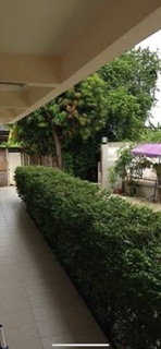 บ้านลุงทอม (รูปที่ 8)