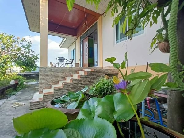 ที่ดินพร้อมสิ่งปลูกสร้าง ลดถูกมาก เจ้าของ ต้องย้ายกลับบ้านเกิด T.062-1574449 (รูปที่ 18)