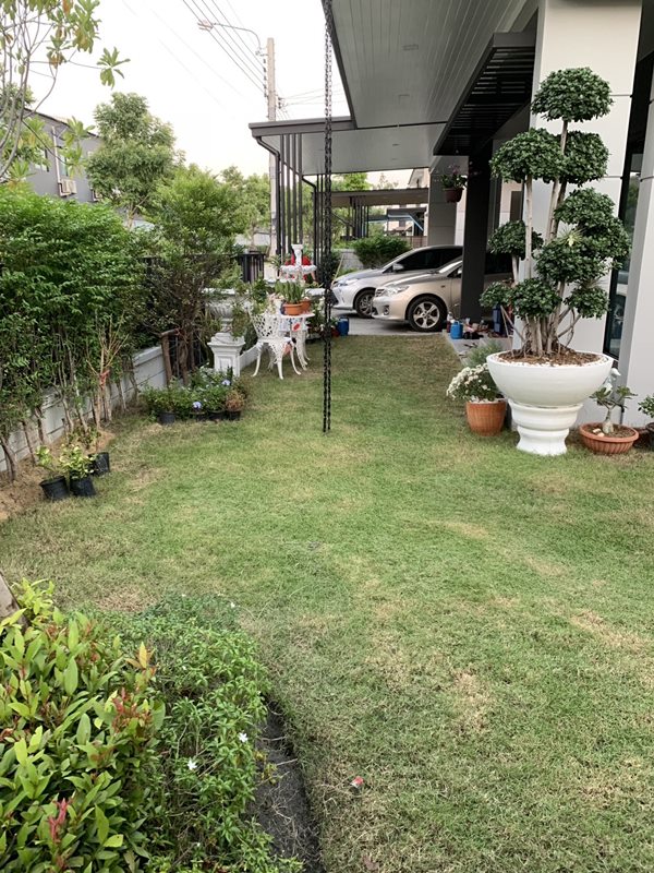 ขายบ้านเดี่ยว Centro Bangna Km.7 ใกล้ห้างเมกาบางนา 2 นาที แปลงมุม 4 ห้องนอน โทร 065-1428963 (รูปที่ 8)