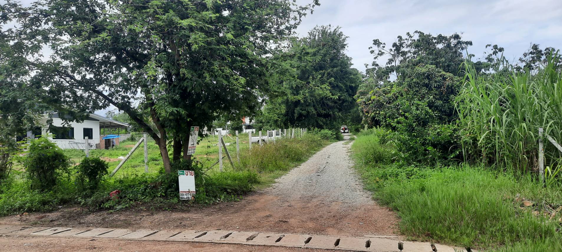 ขายที่่แม่วาง 162 ตร.ว. บ้านป่าเป้ากิ่วแล ใกล้ตลาดอุ้ยคำ โฉนด นส.4จ (รูปที่ 4)