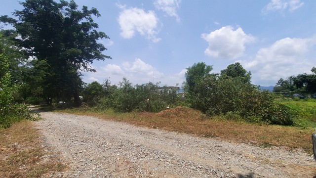 ขายที่่แม่วาง 162 ตร.ว. บ้านป่าเป้ากิ่วแล ใกล้ตลาดอุ้ยคำ โฉนด นส.4จ (รูปที่ 5)