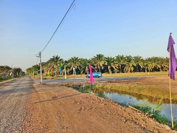 ที่ดิน ทำเลดี ใกล้ตลาด ใกล้ชุมชน ราคาเบาๆ ที่คลอง9 .หนองเสือ. T.062-1574449 (รูปที่ 6)