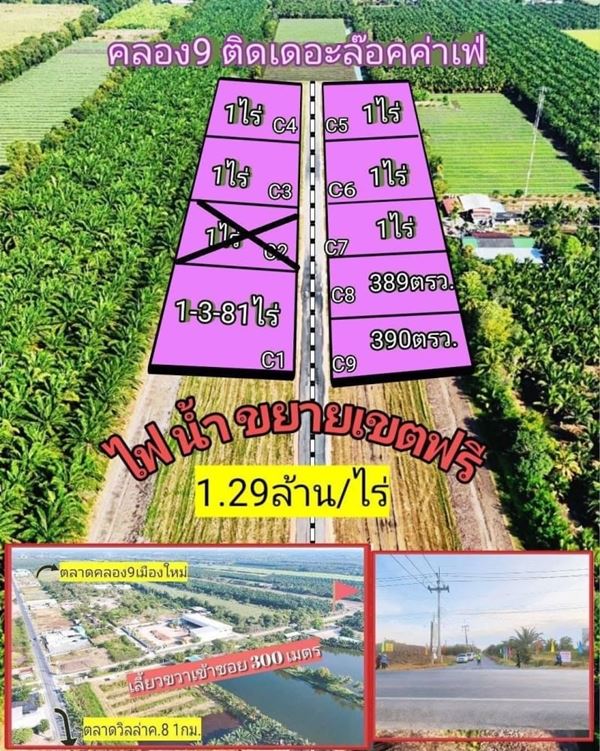 ที่ดิน ทำเลดี ใกล้ตลาด ใกล้ชุมชน ราคาเบาๆ ที่คลอง9 .หนองเสือ. T.062-1574449 (รูปที่ 11)