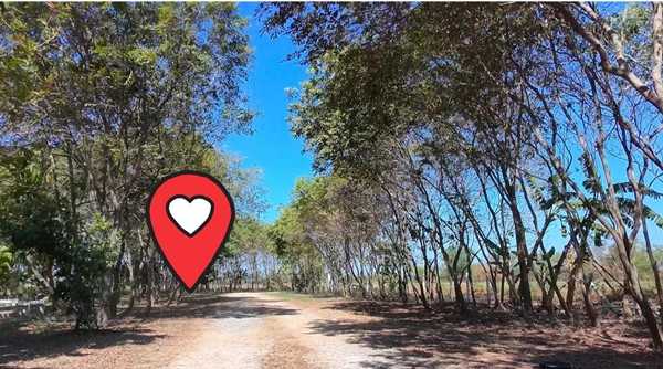 ขายที่ดินบ้านสวน เสาไห้ สระบุรี 6 ไร่ 2 งาน 39 ตรว. มีบ้านปูนลอฟท์ บ้านสวนพร้อมอยู่ ติดต่อ คุณเกริก 0934415691 (รูปที่ 4)