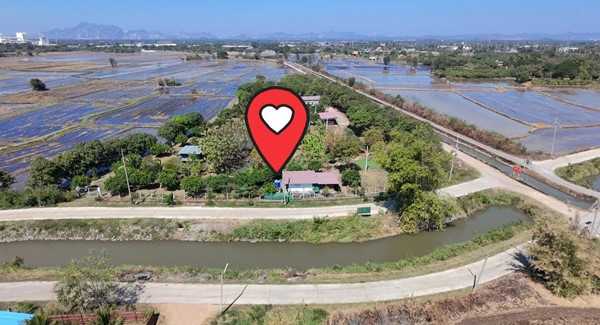 ขายที่ดินบ้านสวน เสาไห้ สระบุรี 6 ไร่ 2 งาน 39 ตรว. มีบ้านปูนลอฟท์ บ้านสวนพร้อมอยู่ ติดต่อ คุณเกริก 0934415691 (รูปที่ 3)