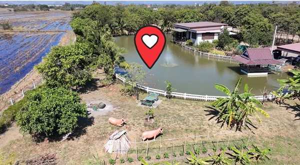 ขายที่ดินบ้านสวน เสาไห้ สระบุรี 6 ไร่ 2 งาน 39 ตรว. มีบ้านปูนลอฟท์ บ้านสวนพร้อมอยู่ ติดต่อ คุณเกริก 0934415691 (รูปที่ 9)