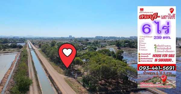 ขายที่ดินบ้านสวน เสาไห้ สระบุรี 6 ไร่ 2 งาน 39 ตรว. มีบ้านปูนลอฟท์ บ้านสวนพร้อมอยู่ ติดต่อ คุณเกริก 0934415691 (รูปที่ 8)