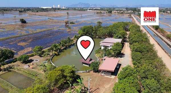 ขายที่ดินบ้านสวน เสาไห้ สระบุรี 6 ไร่ 2 งาน 39 ตรว. มีบ้านปูนลอฟท์ บ้านสวนพร้อมอยู่ ติดต่อ คุณเกริก 0934415691 (รูปที่ 6)