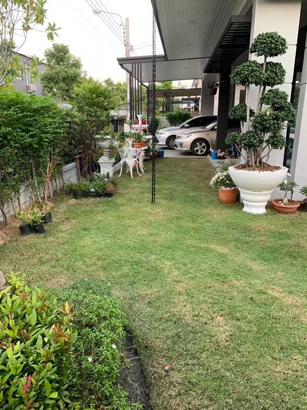 ขาย บ้านเดี่ยวแปลงมุม เซนโทร บางนา กม.7 ซอย ราชวินิตบางแก้ว ใกล้ห้างเมกาบางนา เดินทางสะดวกสบาย ใกล้ทางด่วนบูรพาวิถี โทร 065-1428963 (รูปที่ 6)