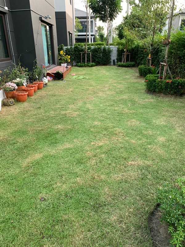 ขาย บ้านเดี่ยวแปลงมุม เซนโทร บางนา กม.7 ซอย ราชวินิตบางแก้ว ใกล้ห้างเมกาบางนา เดินทางสะดวกสบาย ใกล้ทางด่วนบูรพาวิถี โทร 065-1428963 (รูปที่ 8)