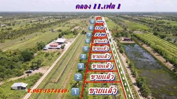 2ไร่ ที่ดินVายถูกมาก แบ่งจ่ายได้ ที่คลอง11 หนองเสือ-ปทุมธานี T.062-1574449 (รูปที่ 10)