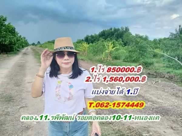 2ไร่ ที่ดินVายถูกมาก แบ่งจ่ายได้ ที่คลอง11 หนองเสือ-ปทุมธานี T.062-1574449 (รูปที่ 11)
