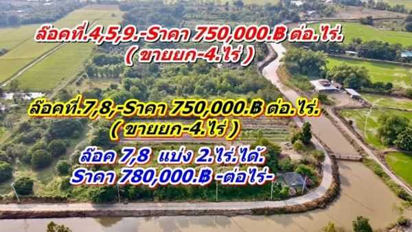 ทำเลดี ติดถนนคอนกรีต ที่ดินถูก แบ่งจ่ายได้ ที่หนองแค. T.062-1574449 (รูปที่ 6)