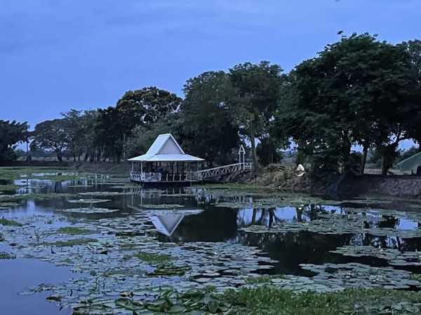 ขายที่ดินพร้อมบ้าน 2หลัง ริมแม่น้ำท่าจีน ถนนเข้าถึง บรรยากาศร่มรื่น เหมาะเป็นบ้านริมน้ำ ร้านอาหาร รีสอร์ท โทร 085-261-9111 (รูปที่ 3)