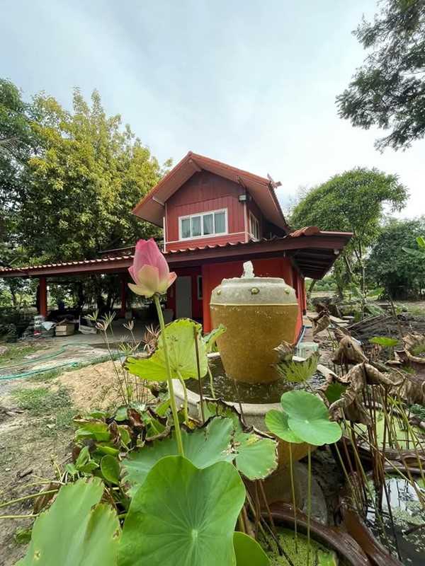 ขายที่ดินพร้อมบ้าน 2หลัง ริมแม่น้ำท่าจีน ถนนเข้าถึง บรรยากาศร่มรื่น เหมาะเป็นบ้านริมน้ำ ร้านอาหาร รีสอร์ท โทร 085-261-9111 (รูปที่ 2)