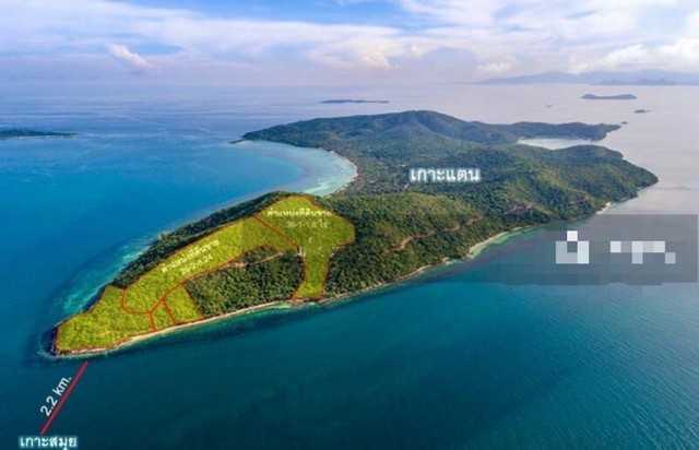 P202504-ขายที่ดินบนเกาะแตน 90 ไร่ ต.ตลิ่งงาม อ.เกาะสมุย จ.สุราษฎร์ธานี (รูปที่ 7)