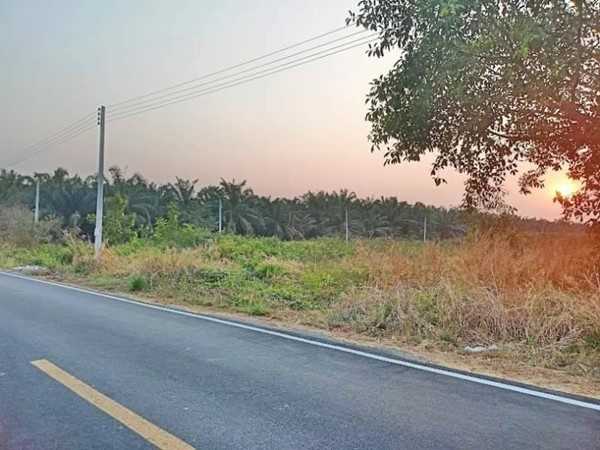 ที่ดินสวยถูก ทำเลดี ติดลาดยาง ที่คลอง12 หนองเสือ จ.ปทุมธานี T.062-1574449 (รูปที่ 3)