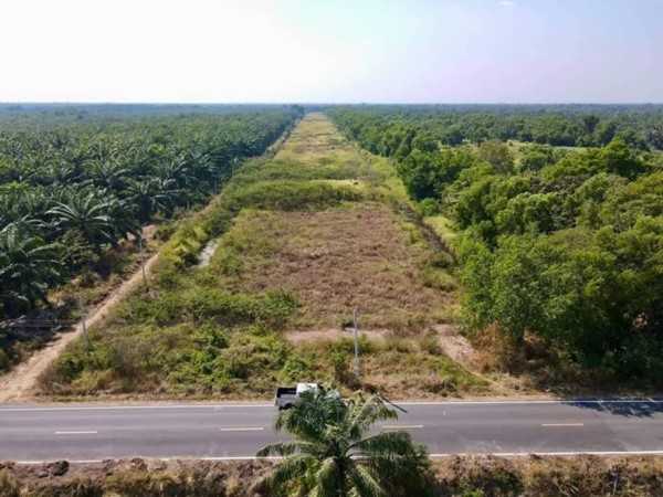 ที่ดินสวยถูก ทำเลดี ติดลาดยาง ที่คลอง12 หนองเสือ จ.ปทุมธานี T.062-1574449 (รูปที่ 8)