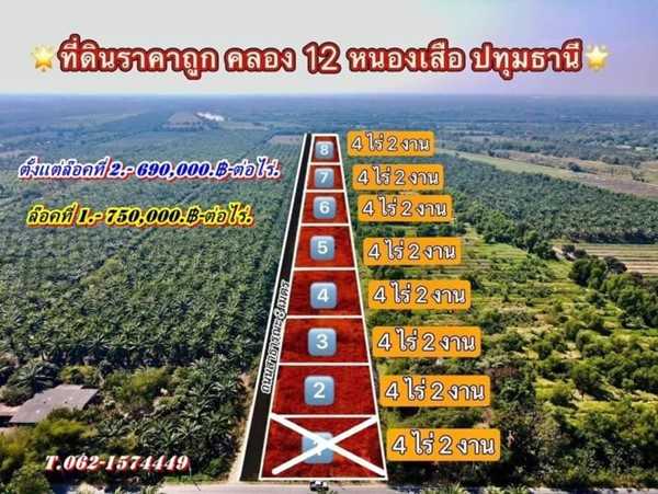 ที่ดินสวยถูก ทำเลดี ติดลาดยาง ที่คลอง12 หนองเสือ จ.ปทุมธานี T.062-1574449 (รูปที่ 14)