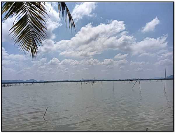 ให้เช่าหรือขาย ที่ดินติดทะเล 3 ไร่ เกาะยอ อ.เมืองสงขลา น่าอยู่ อยู่ในย่านชุมชน ใกล้วัดท้ายยอ โทร 0632897879 (รูปที่ 3)