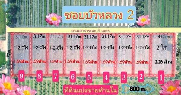ที่ดินบ้านสวน ใกล้ชุมชน ใกล้ตลาดติดลาดยาง คลอง12 หนองเสือ-T.062-1574449 (รูปที่ 7)