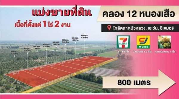 ที่ดินบ้านสวน ใกล้ชุมชน ใกล้ตลาดติดลาดยาง คลอง12 หนองเสือ-T.062-1574449 (รูปที่ 8)