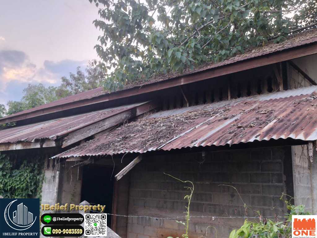 ขายด่วน! บ้านพร้อมที่ดิน 80.6 ตร.ว. เพียง 480,000 บาท ถูกกว่าประเมิน! (รูปที่ 7)