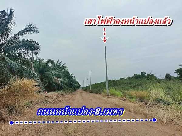 ที่สวยทำเลดีติดลาดยาง-ถูกกว่าใครในย่านนี้ที่คลอง12-หนองเสือ. T.062-1574449 (รูปที่ 3)