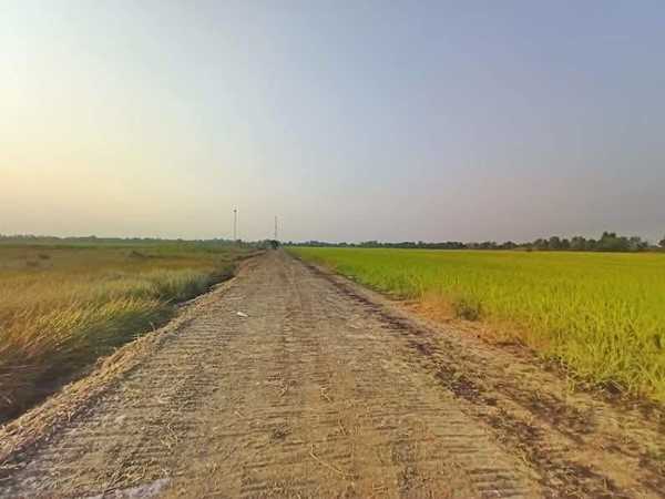 ถูกจัดของจริง ที่ดิน-บ้านนา-นครนายก- ที่ดินเชิงเกษตร บ้านสวนคลอง 30. ต.ทองหลาง T.062-1574449 (รูปที่ 6)