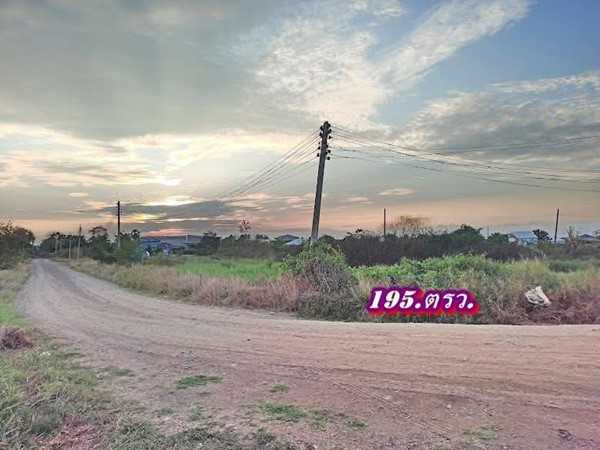ที่ดินถมแล้วแปลงริมแปลงมุมติดถนน2.ด้านใกล้ตลาดที่คลอง11ธัญบุรี-T.062-1574449 (รูปที่ 9)