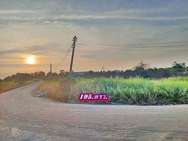 ที่ดินถมแล้วแปลงริมแปลงมุมติดถนน2.ด้านใกล้ตลาดที่คลอง11ธัญบุรี-T.062-1574449 (รูปที่ 10)
