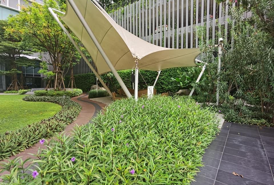 ขายขาดทุน ไอดีโอ โมบิ สุขุมวิท 81 (รูปที่ 22)