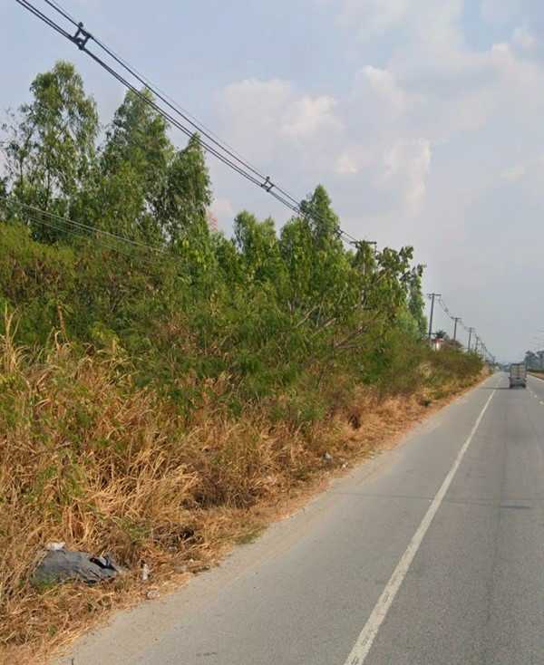 ให้เช่าที่ดินสวยติดถนนใหญ่ 3138 11 ไร่ 1 งาน 5 ตรว โทร 0863331633 (รูปที่ 8)