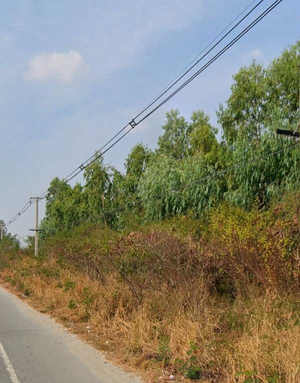 ให้เช่าที่ดินสวยติดถนนใหญ่ 3138 11 ไร่ 1 งาน 5 ตรว โทร 0863331633 (รูปที่ 10)