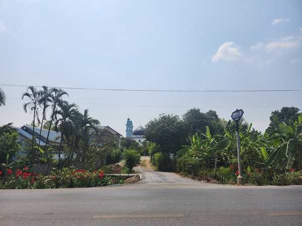 ขายที่ดิน 3ไร่ เขตหนองจอก ด้านหลังตลาดหนองจอก ถ.ผดุงพันธ์ ซ.1 ทำเลธุรกิจ กรุงเทพชั้นนอก ที่ชุมชน ติดถนน โทร 0889879915 (รูปที่ 9)