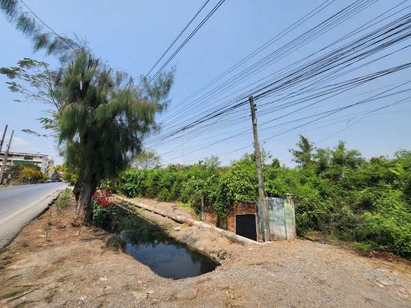 ขายที่ดิน 3ไร่ เขตหนองจอก ด้านหลังตลาดหนองจอก ถ.ผดุงพันธ์ ซ.1 ทำเลธุรกิจ กรุงเทพชั้นนอก ที่ชุมชน ติดถนน โทร 0889879915 (รูปที่ 5)