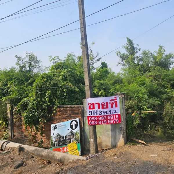 ขายที่ดิน 3ไร่ เขตหนองจอก ด้านหลังตลาดหนองจอก ถ.ผดุงพันธ์ ซ.1 ทำเลธุรกิจ กรุงเทพชั้นนอก ที่ชุมชน ติดถนน โทร 0889879915 (รูปที่ 13)