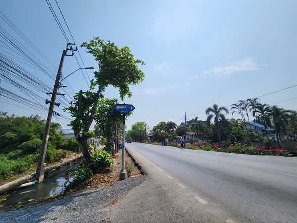 ขายที่ดิน 3ไร่ เขตหนองจอก ด้านหลังตลาดหนองจอก ถ.ผดุงพันธ์ ซ.1 ทำเลธุรกิจ กรุงเทพชั้นนอก ที่ชุมชน ติดถนน โทร 0889879915 (รูปที่ 12)