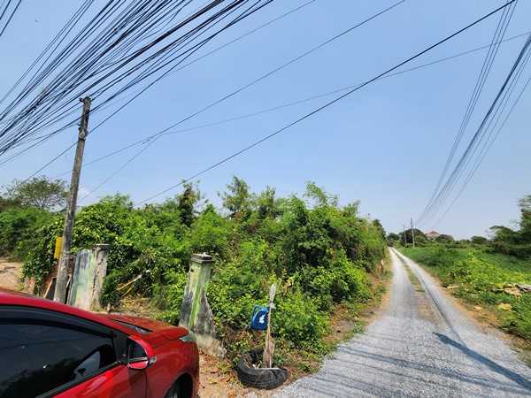 ขายที่ดิน 3ไร่ เขตหนองจอก ด้านหลังตลาดหนองจอก ถ.ผดุงพันธ์ ซ.1 ทำเลธุรกิจ กรุงเทพชั้นนอก ที่ชุมชน ติดถนน โทร 0889879915 (รูปที่ 4)
